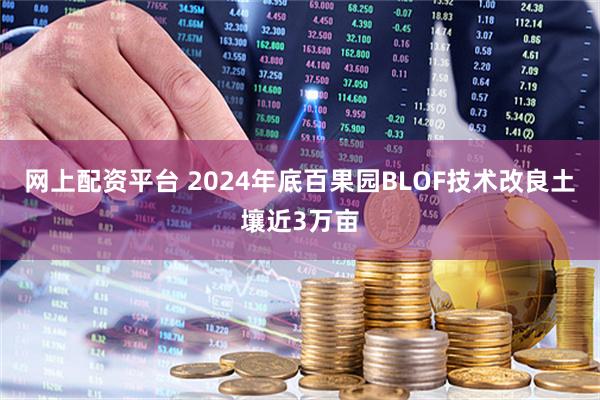 网上配资平台 2024年底百果园BLOF技术改良土壤近3万亩