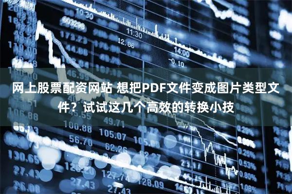 网上股票配资网站 想把PDF文件变成图片类型文件？试试这几个高效的转换小技